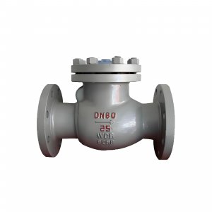 DN50 PN25 介質(zhì)：甲胺，溫度：80℃止回閥